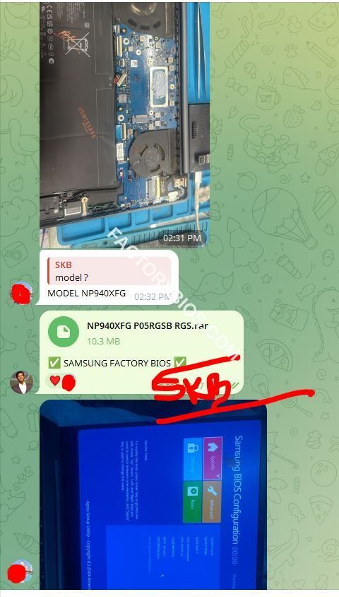 FEEDBACK
