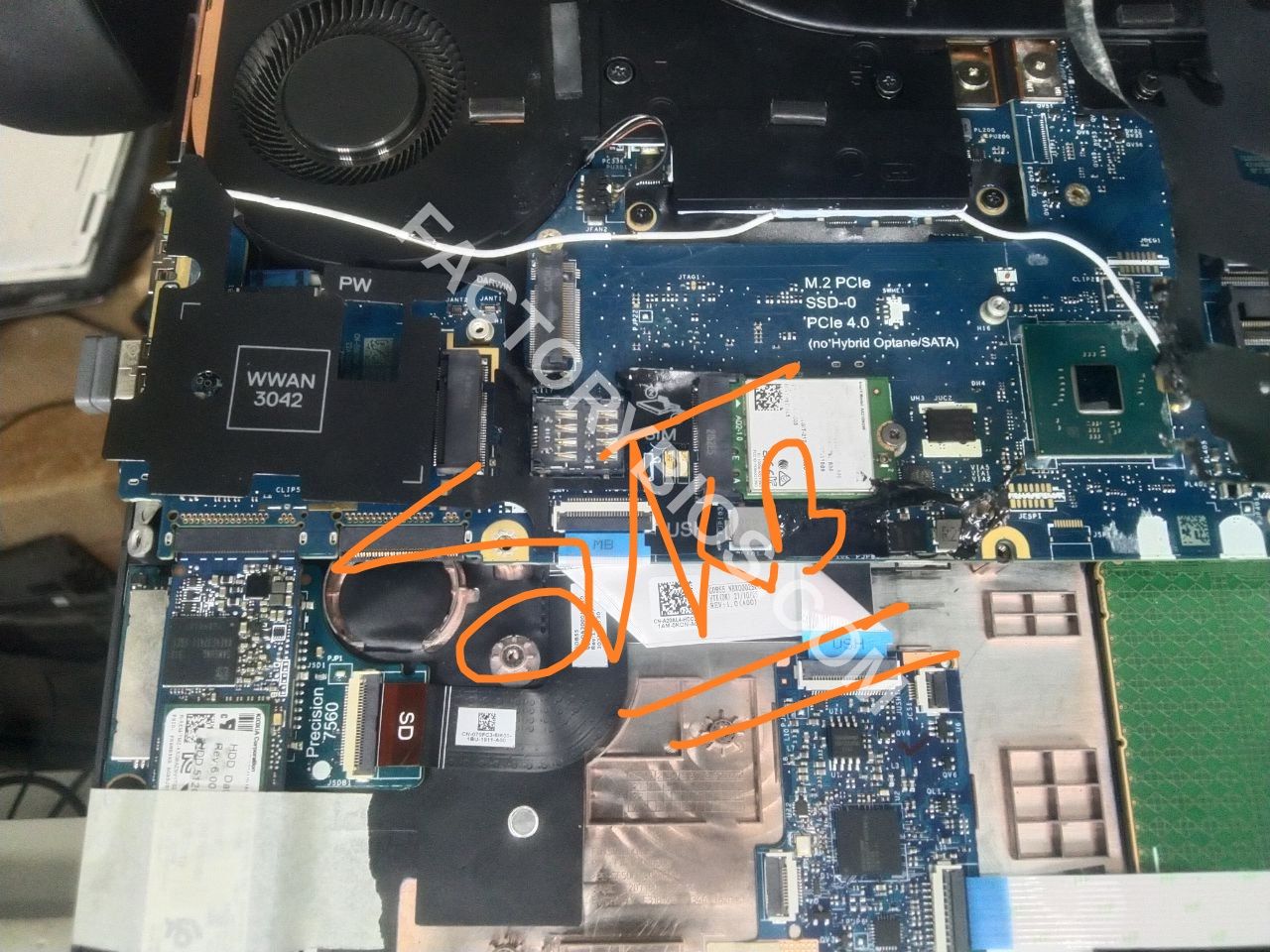 Additional Image